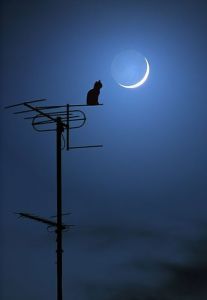 ������ ��������, ��� ����� ���������� � �����������